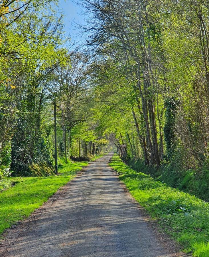 Le Clos Joly 14 Saint-Gatien-des-Bois Extérieur photo
